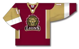 Athletic Knit Custom Made Hockey Jersey Design 803